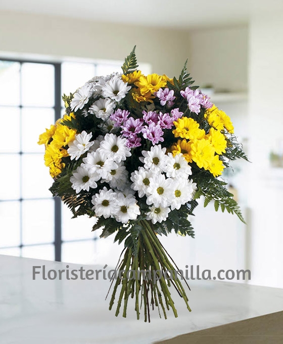 Ramo de margaritas
