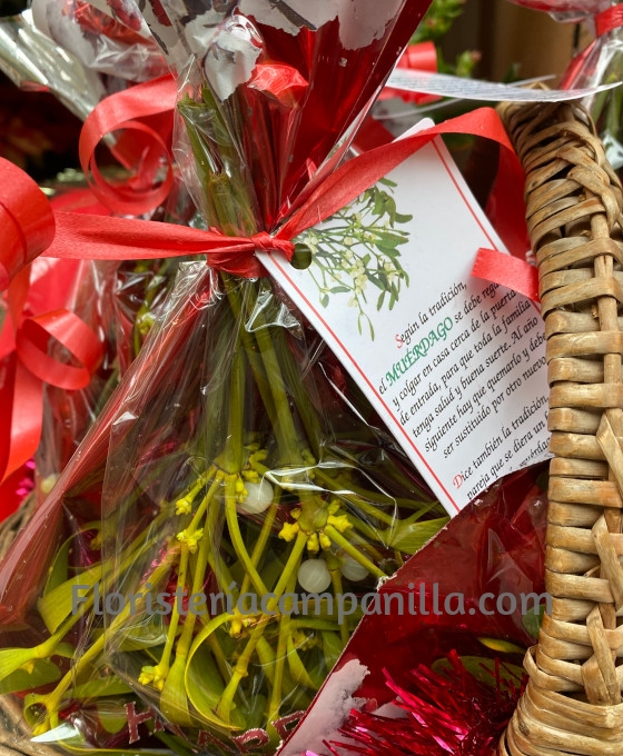 Bolsa de Muérdago de la Suerte