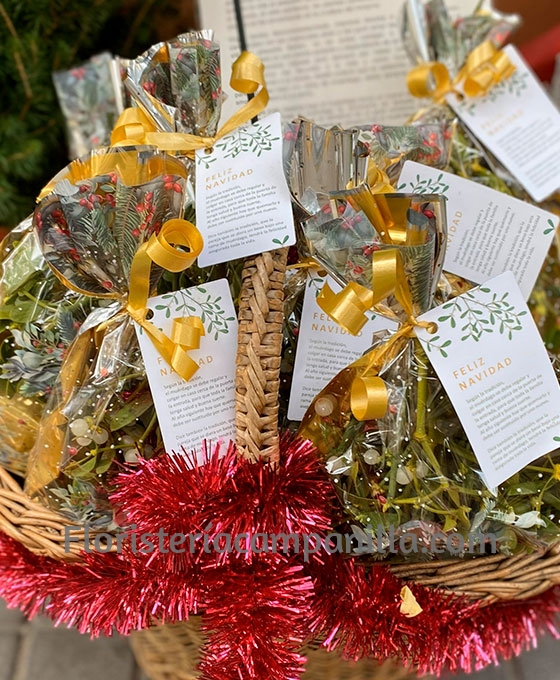 Muérdago en bolsita de regalo